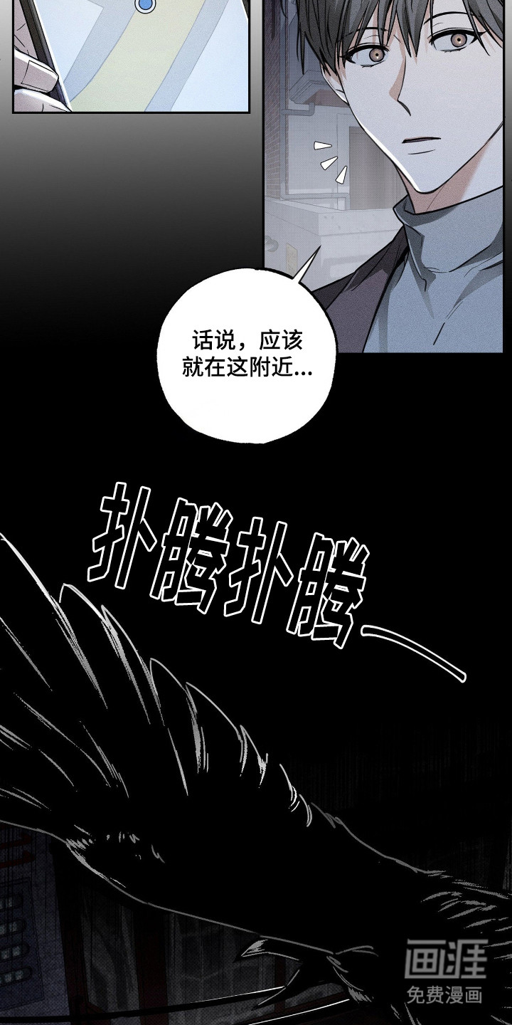 他的暗室 第2话 第11页