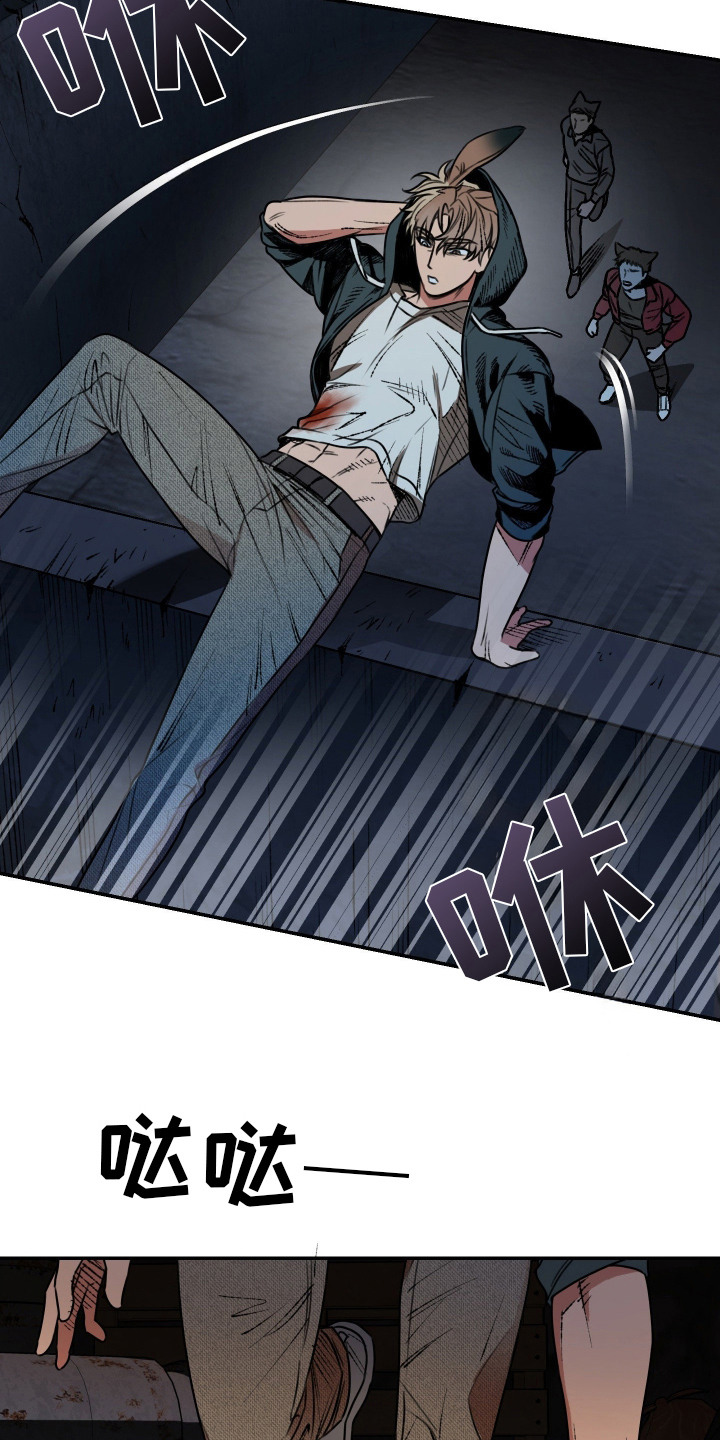 兔入狐窝漫画-图15