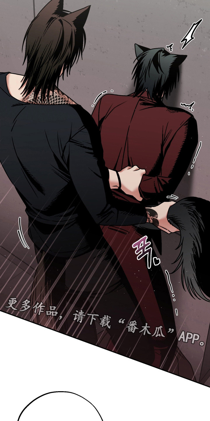 兔入狐窝漫画-图17