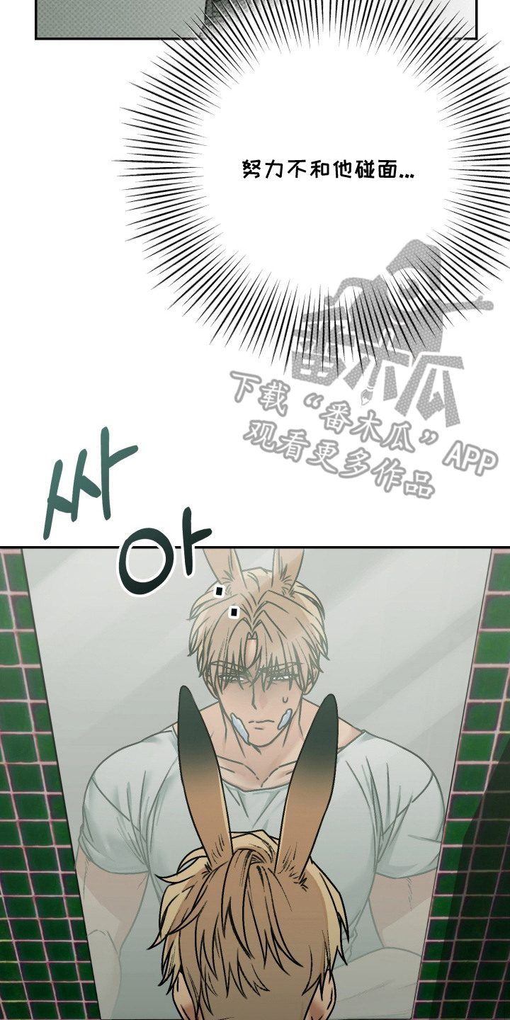 兔入狐窝漫画-图21