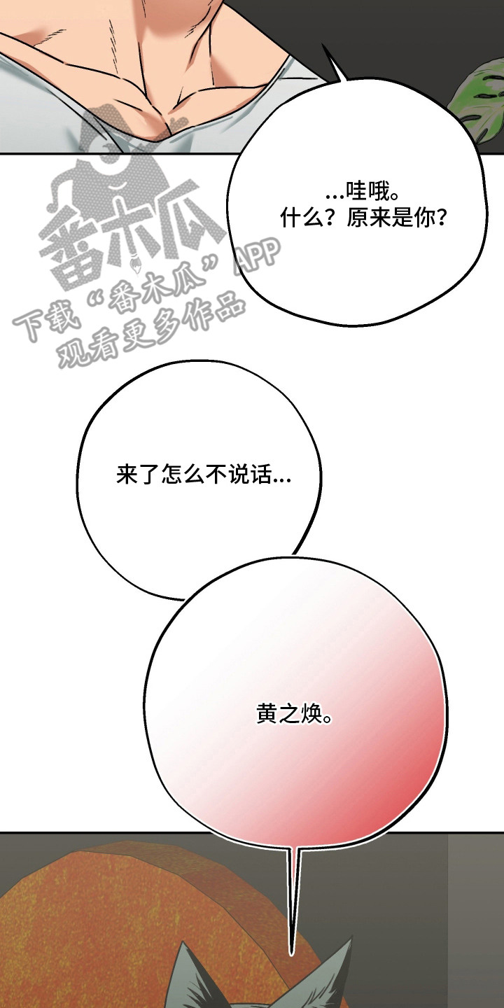 兔入狐窝漫画-图29