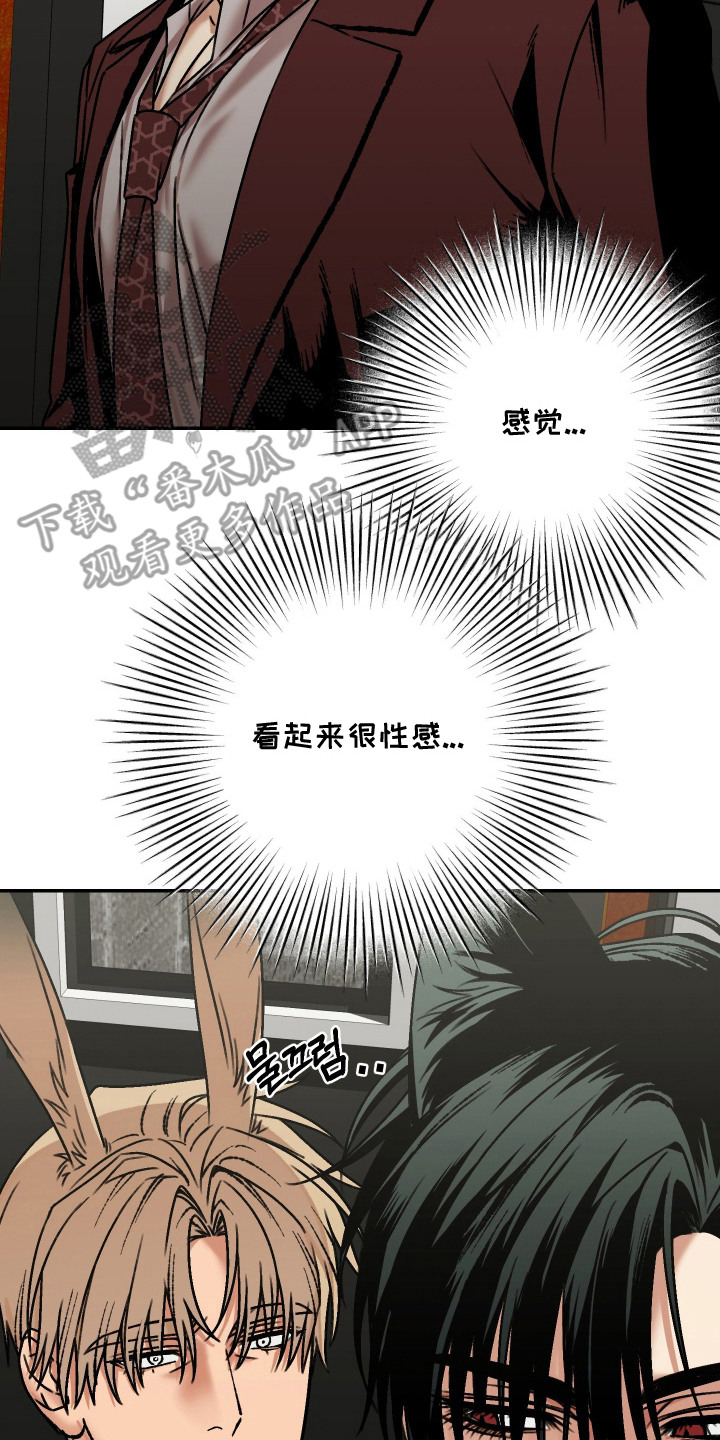 兔入狐窝漫画-图13