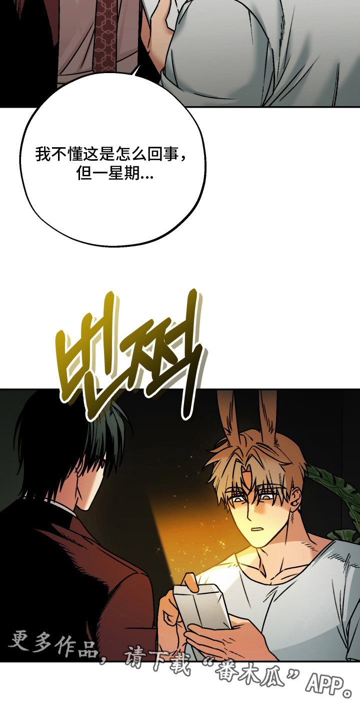 兔入狐窝漫画-图17
