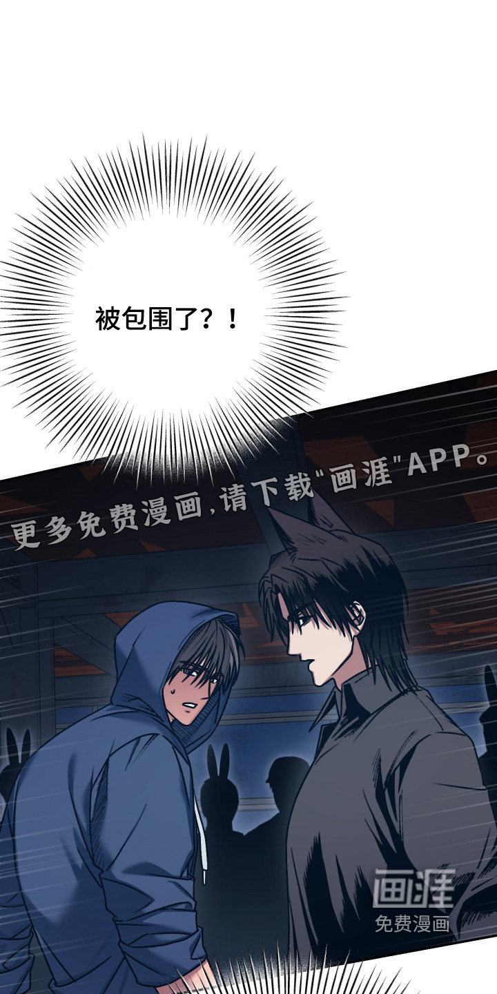 兔入狐窝第17话第1页