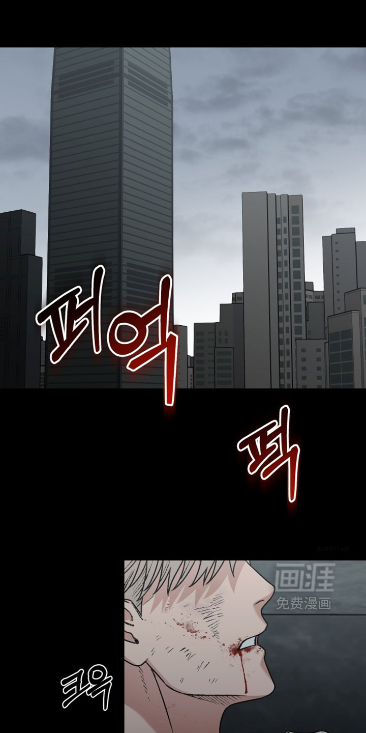 兔入狐窝第19话第1页