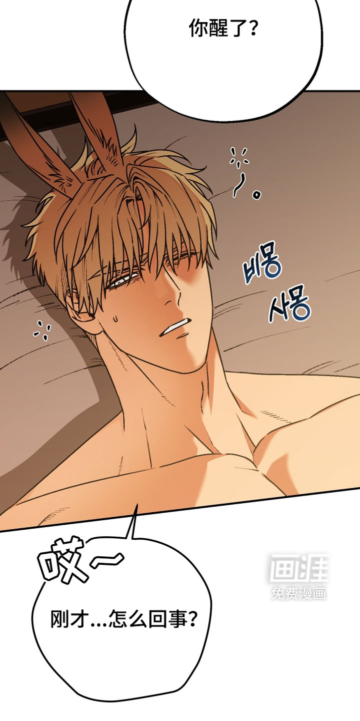 兔入狐窝漫画-图7