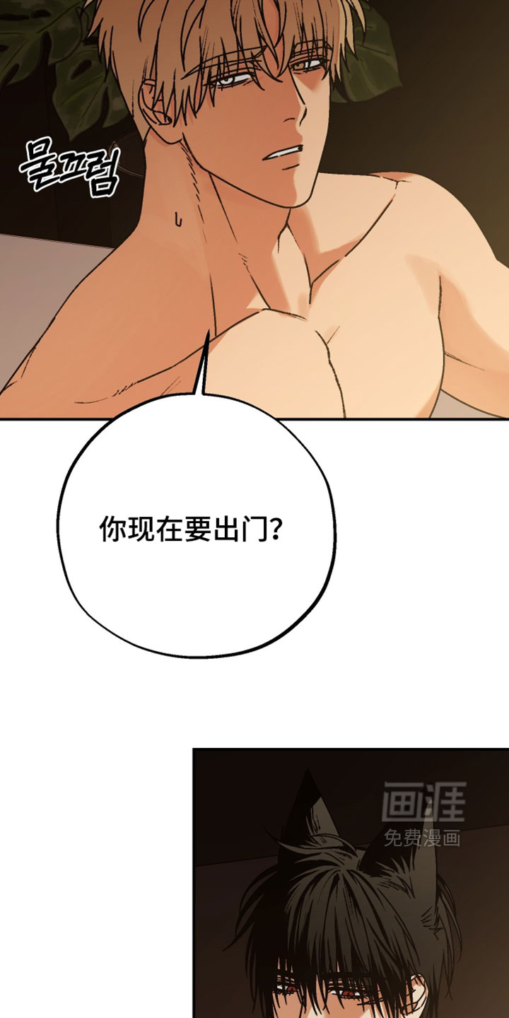 兔入狐窝漫画-图13