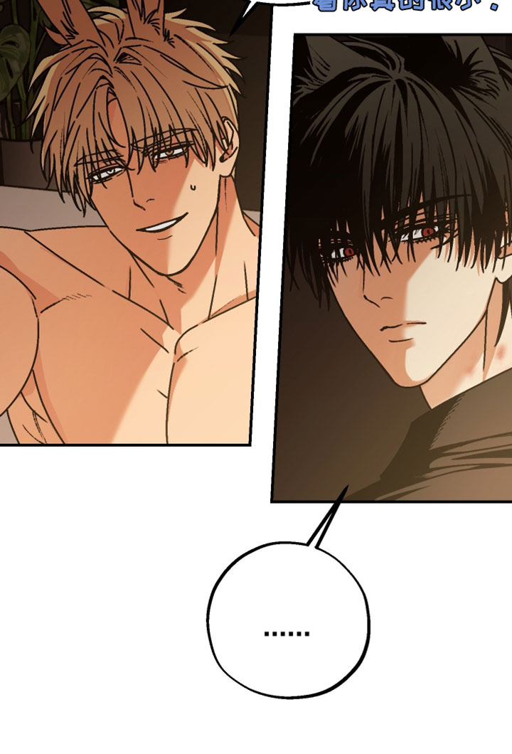 兔入狐窝漫画-图17