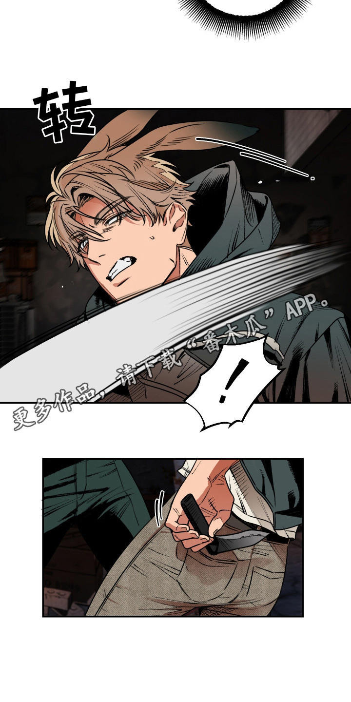 兔入狐窝漫画-图4
