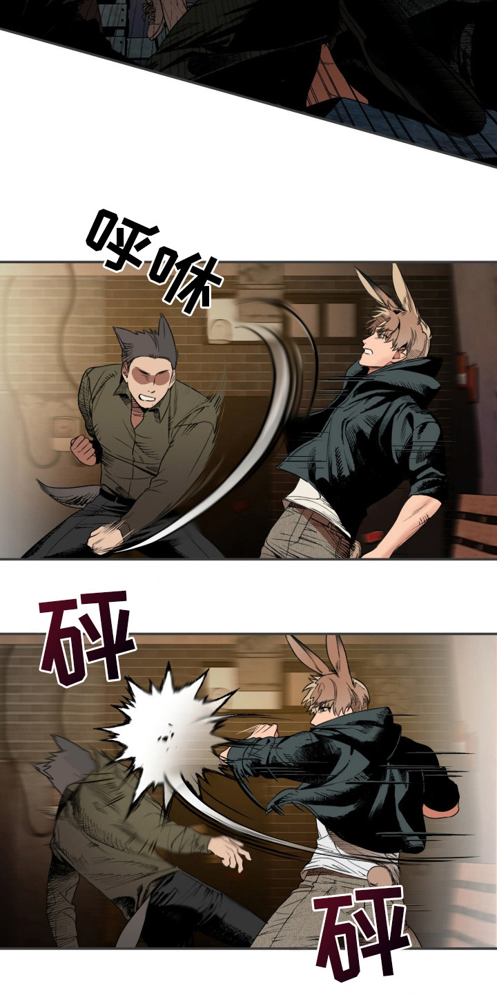 兔入狐窝漫画-图6