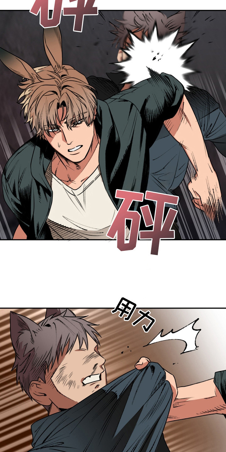 兔入狐窝漫画-图8