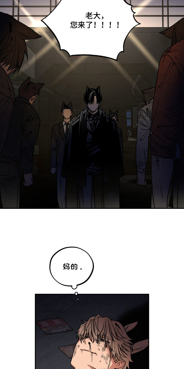 兔入狐窝漫画-图17