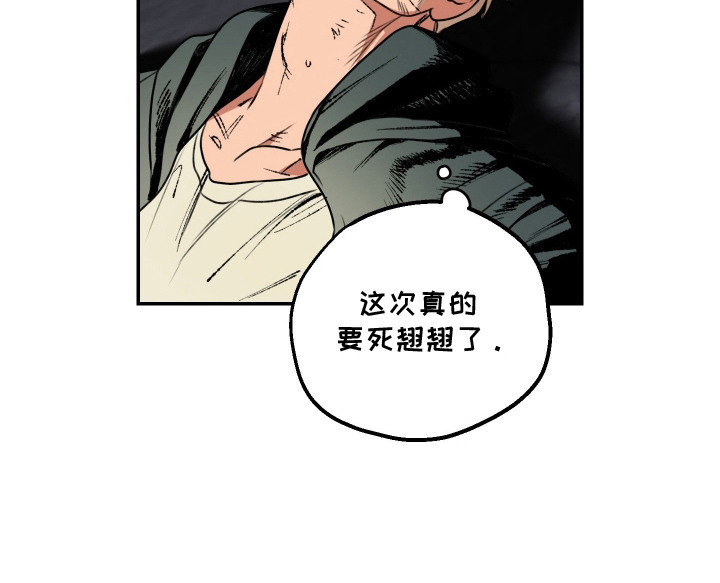 兔入狐窝漫画-图18