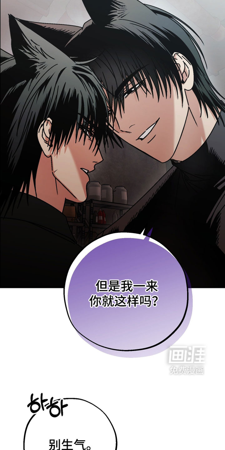 兔入狐窝漫画-图8