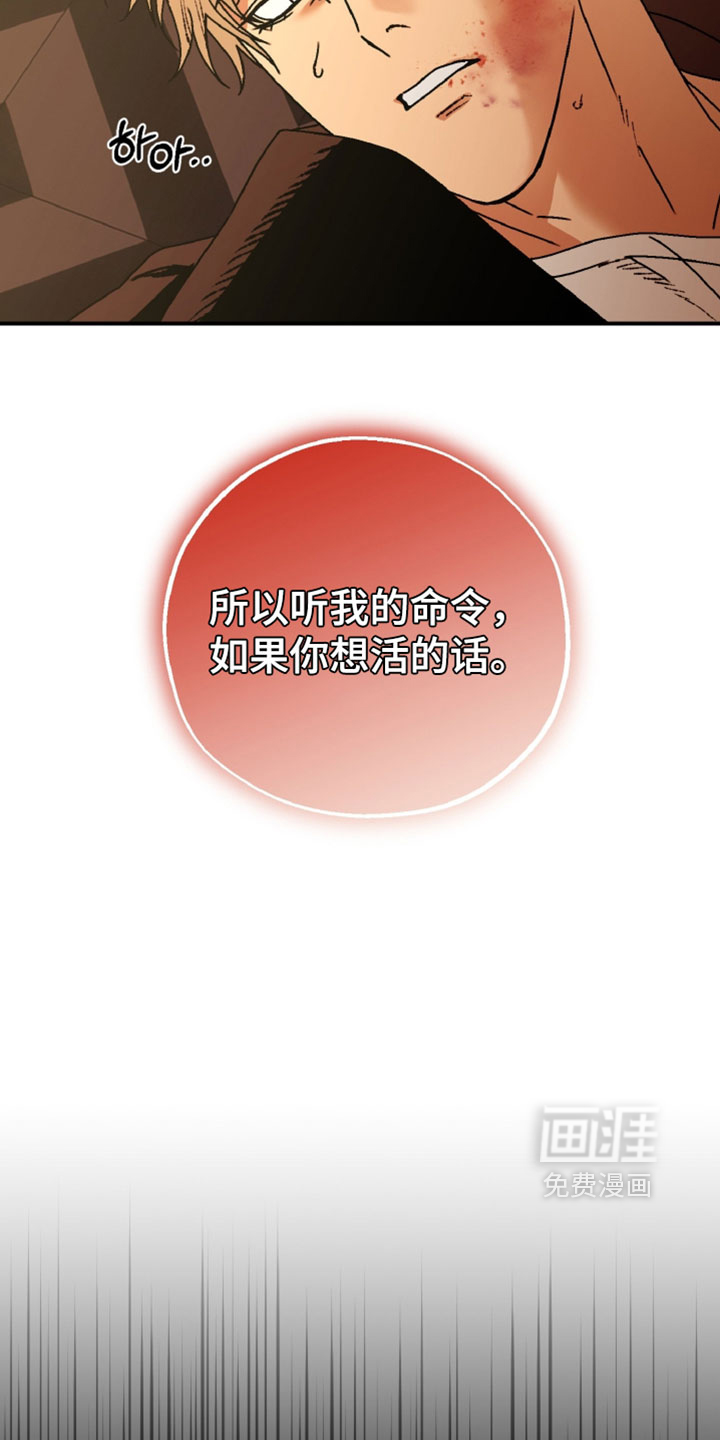 兔入狐窝漫画-图7