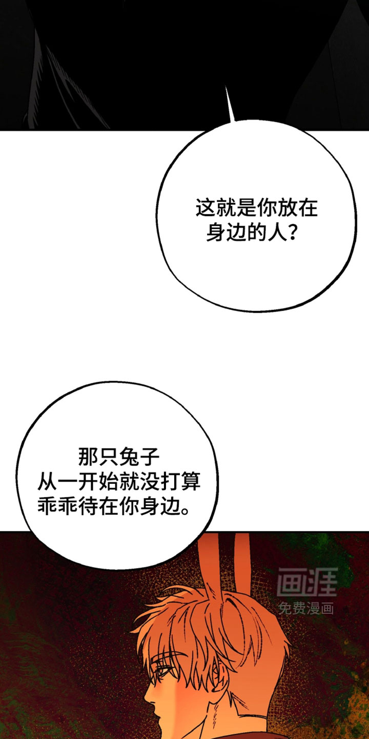 兔入狐窝漫画-图11