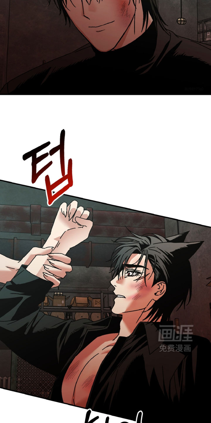兔入狐窝漫画-图15