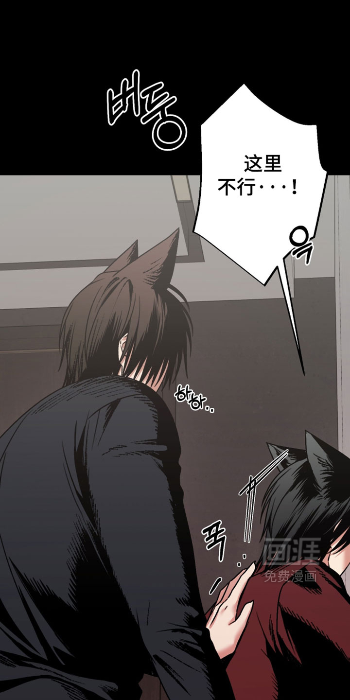 兔入狐窝漫画-图4