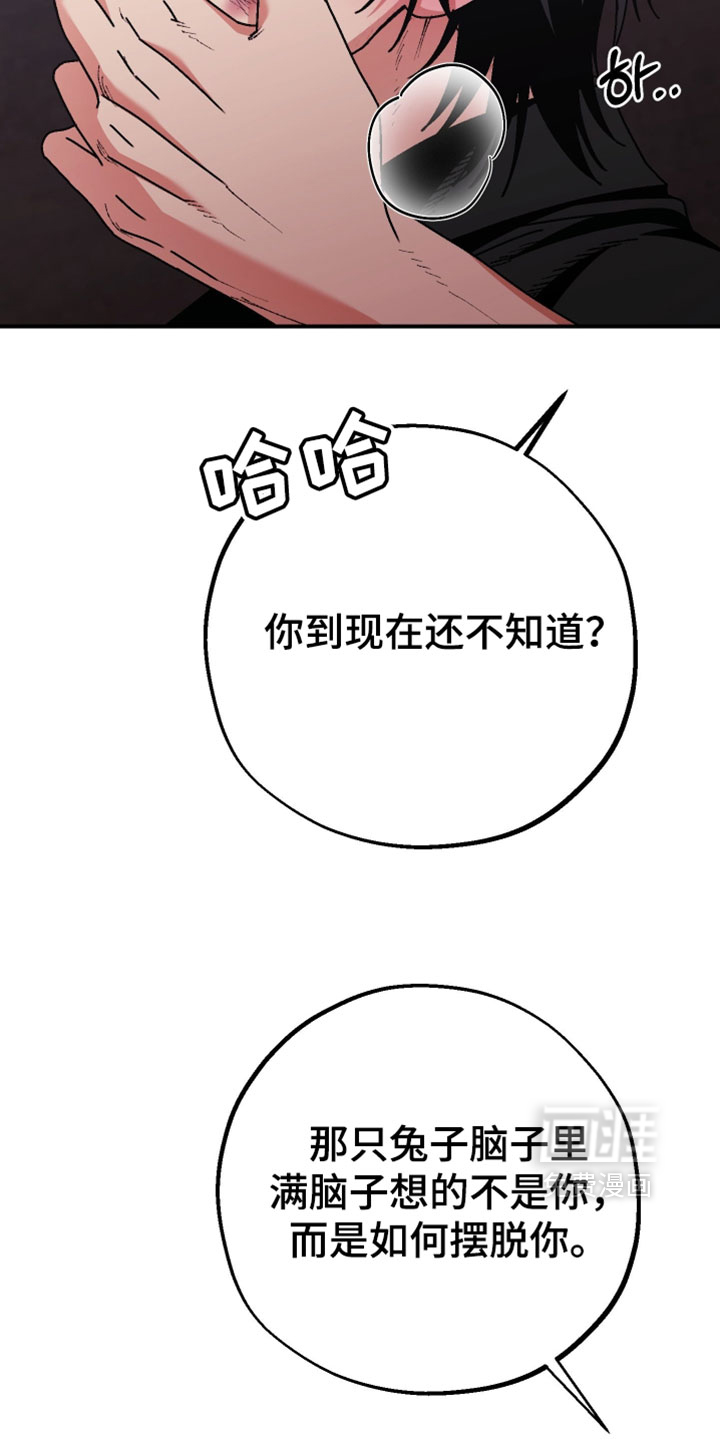兔入狐窝漫画-图16