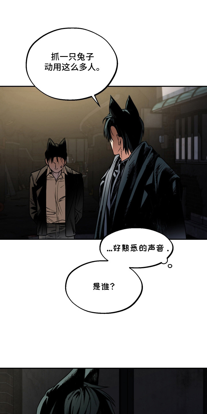 兔入狐窝漫画-图0