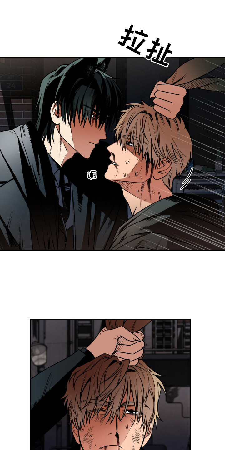 兔入狐窝漫画-图2