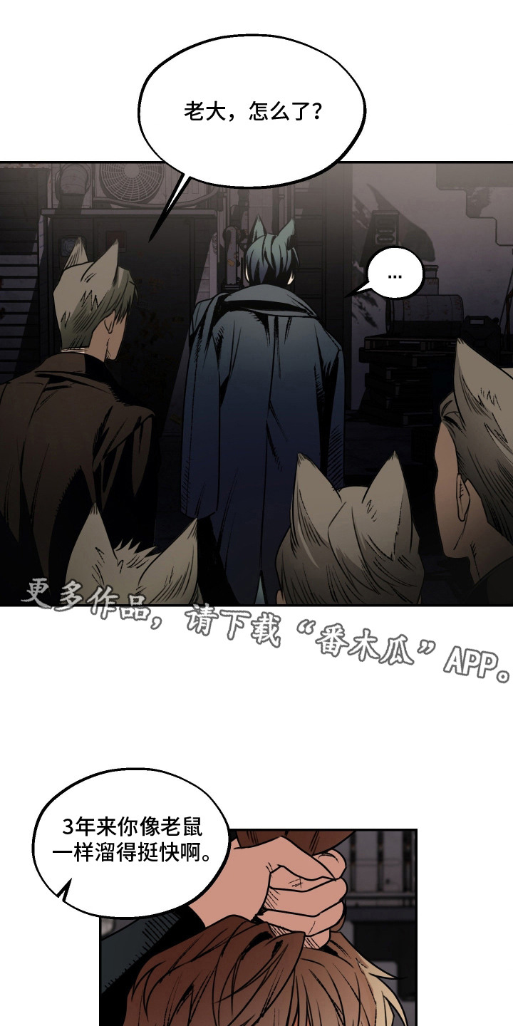 兔入狐窝漫画-图4