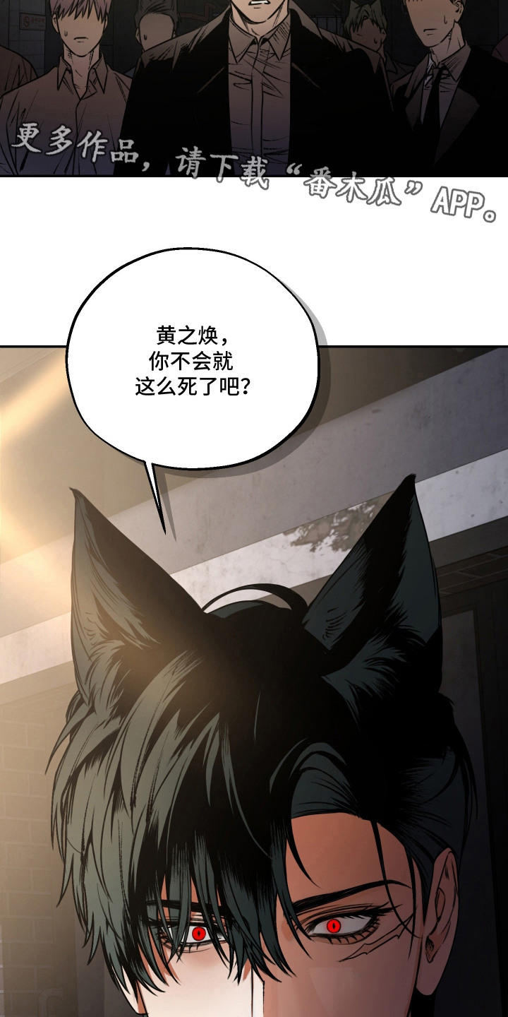 兔入狐窝漫画-图13