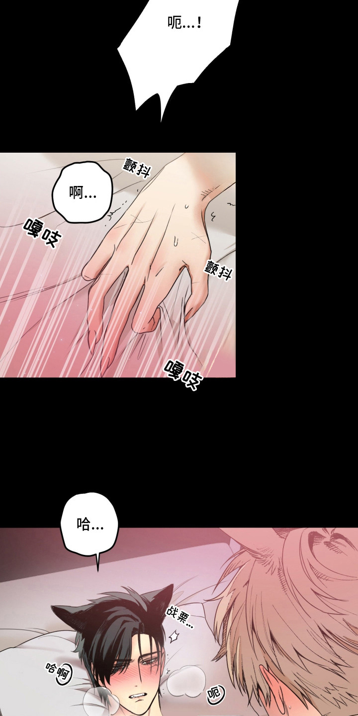 兔入狐窝漫画-图17