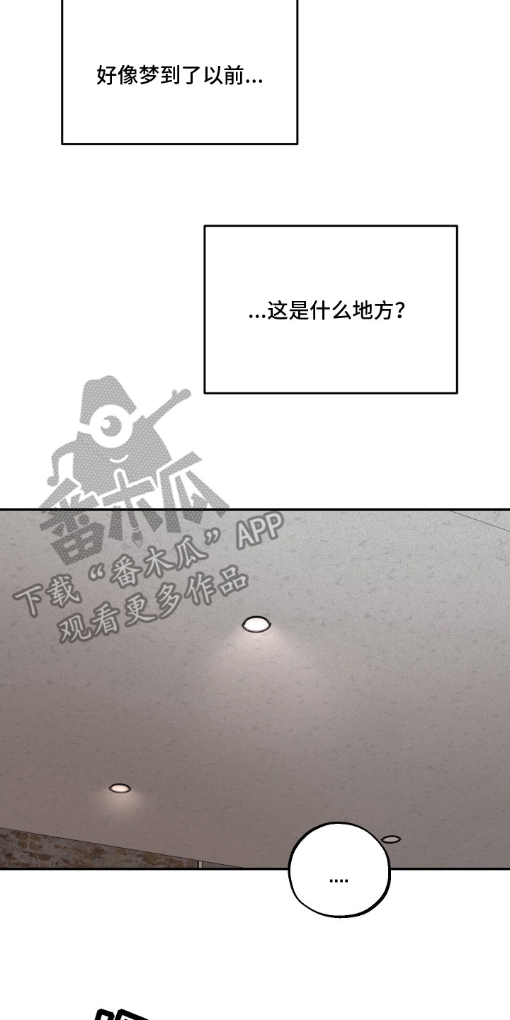 兔入狐窝漫画-图1