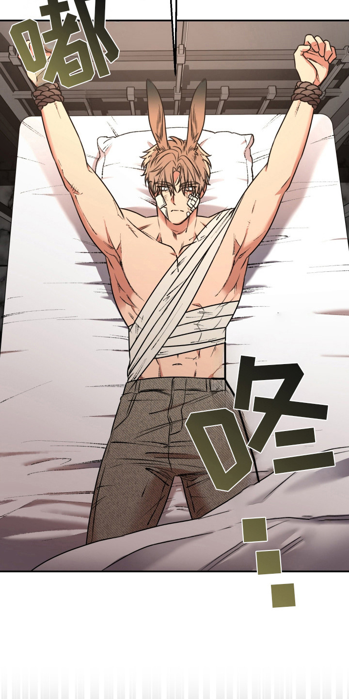 兔入狐窝漫画-图3