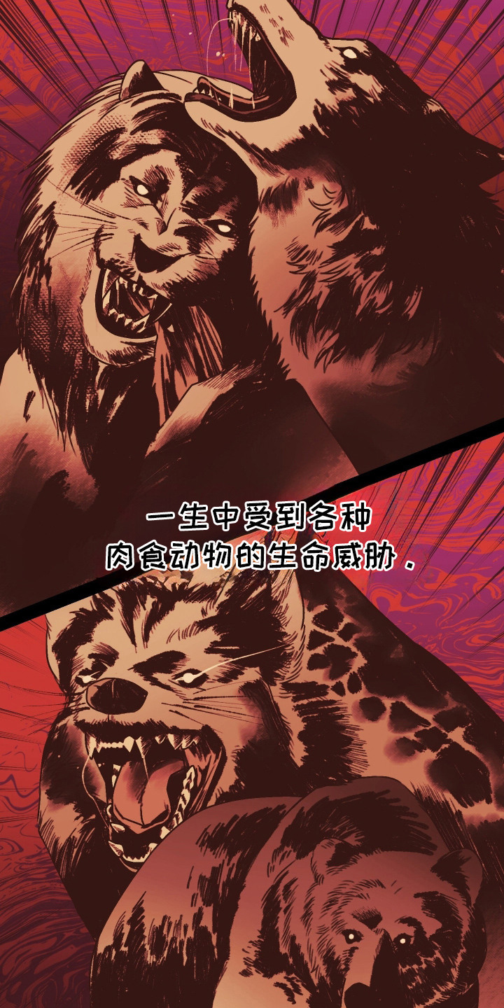 兔入狐窝漫画-图11
