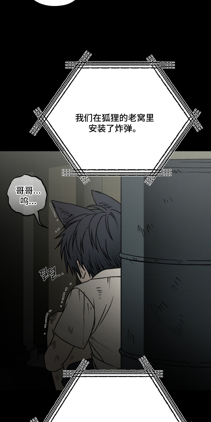 兔入狐窝漫画-图19