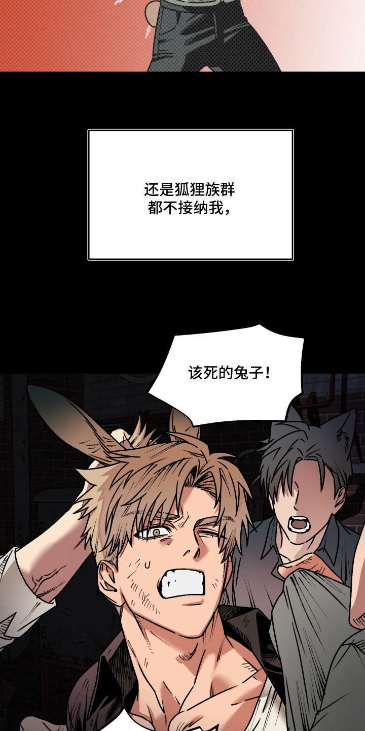 兔入狐窝漫画-图9