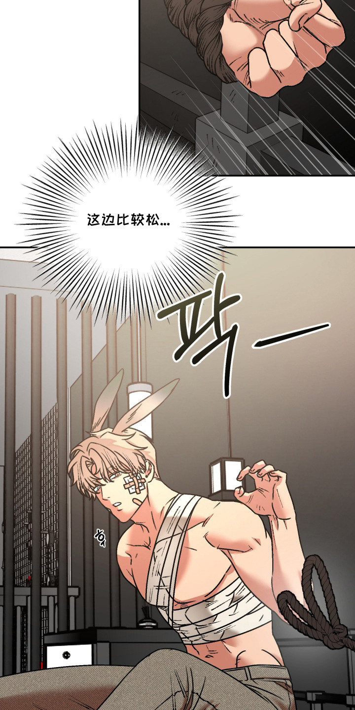 兔入狐窝漫画-图18