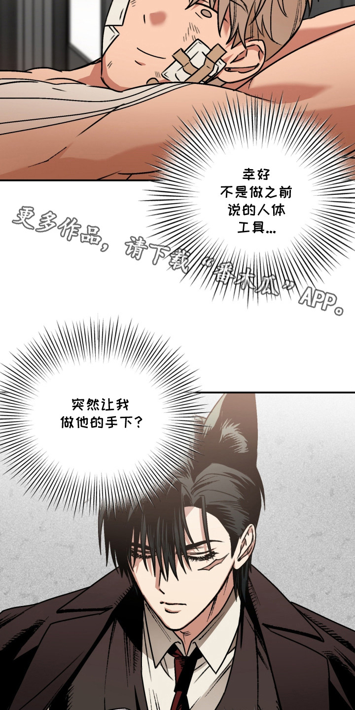 兔入狐窝漫画-图4
