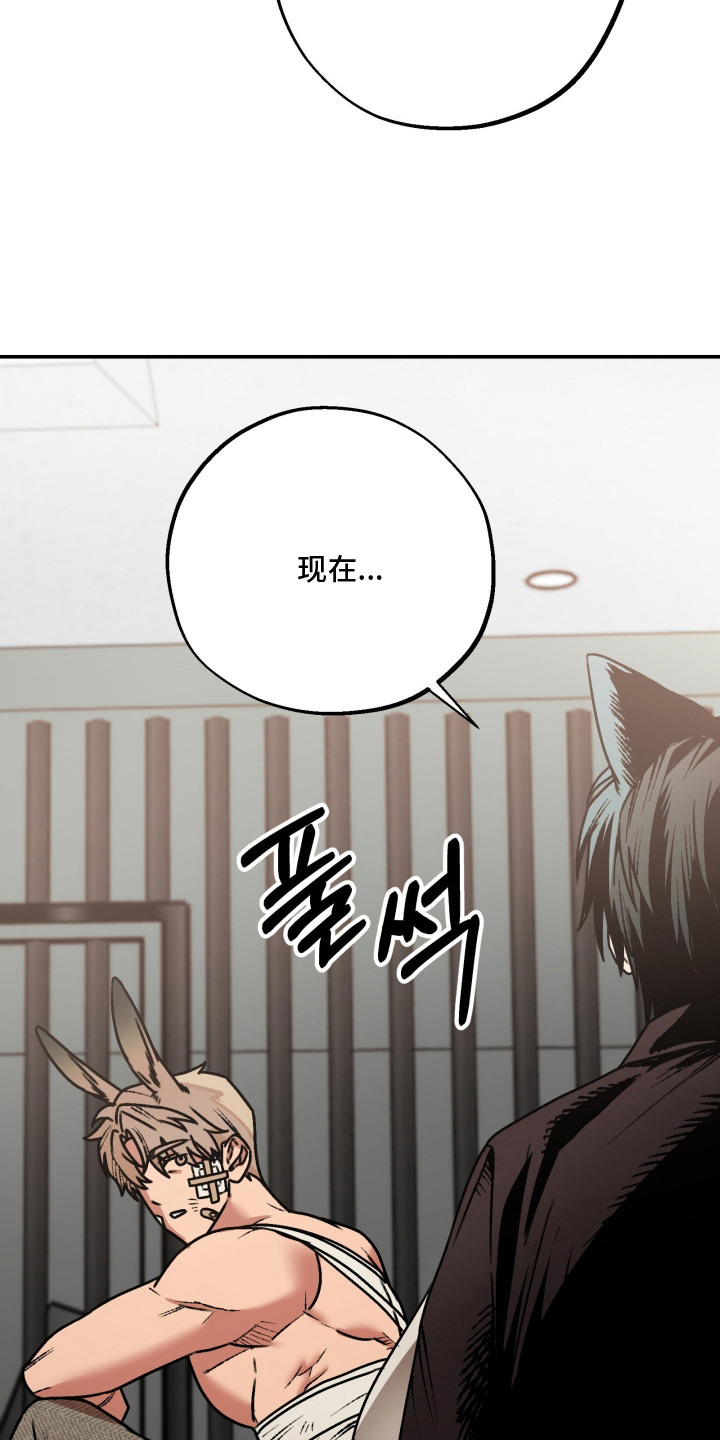 兔入狐窝漫画-图14