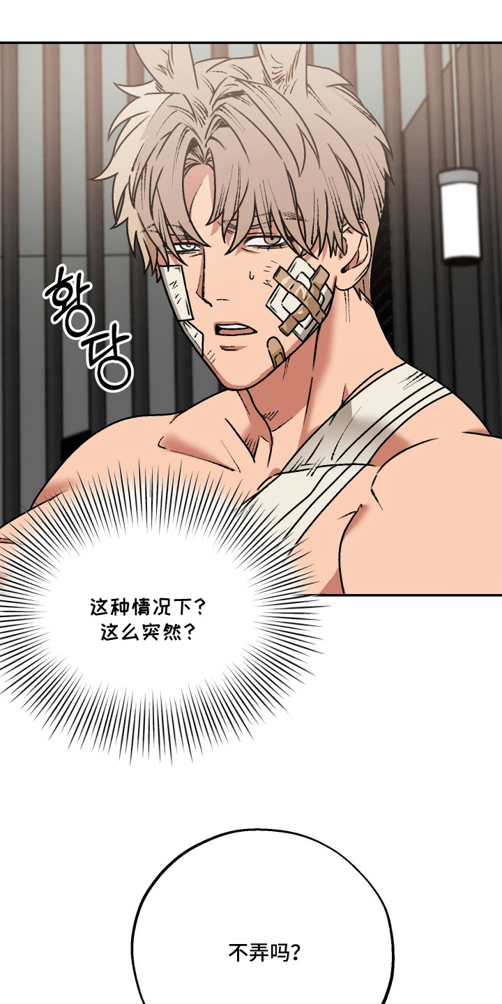兔入狐窝漫画-图17