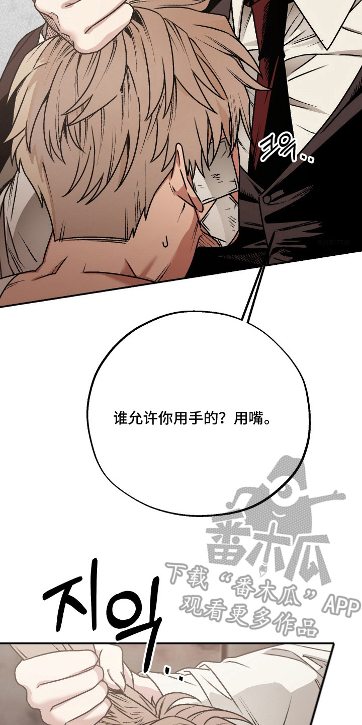 兔入狐窝漫画-图1