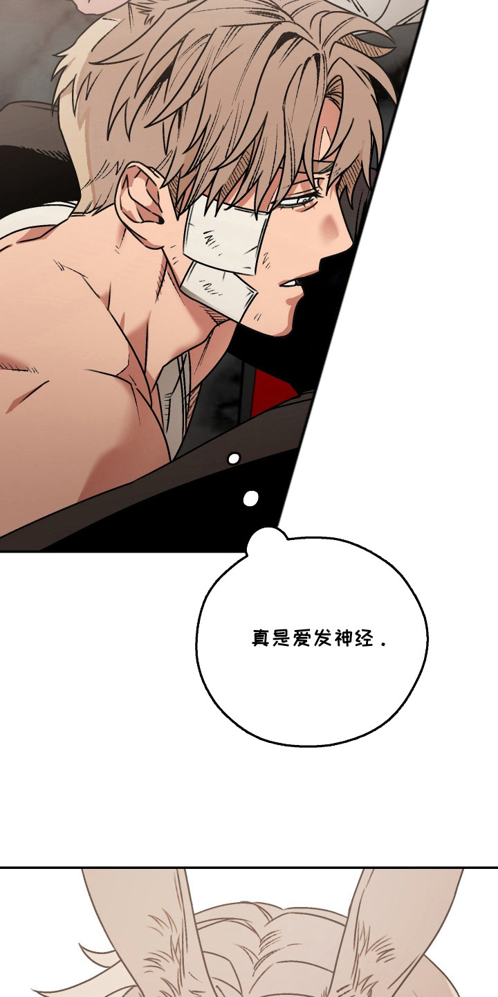 兔入狐窝漫画-图2