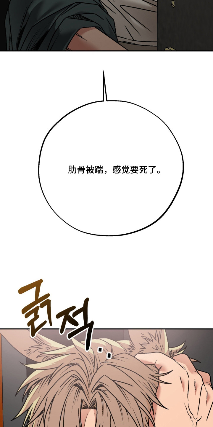兔入狐窝漫画-图14