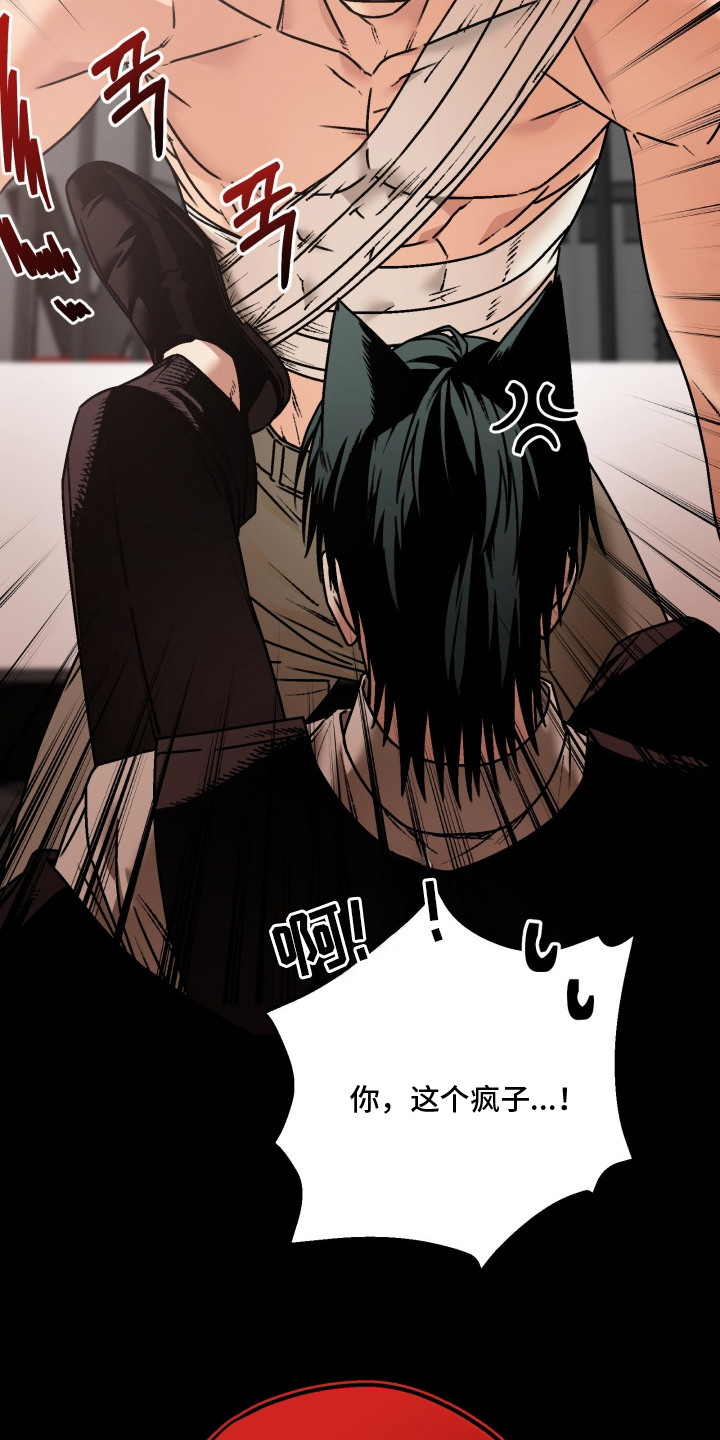 兔入狐窝漫画-图18