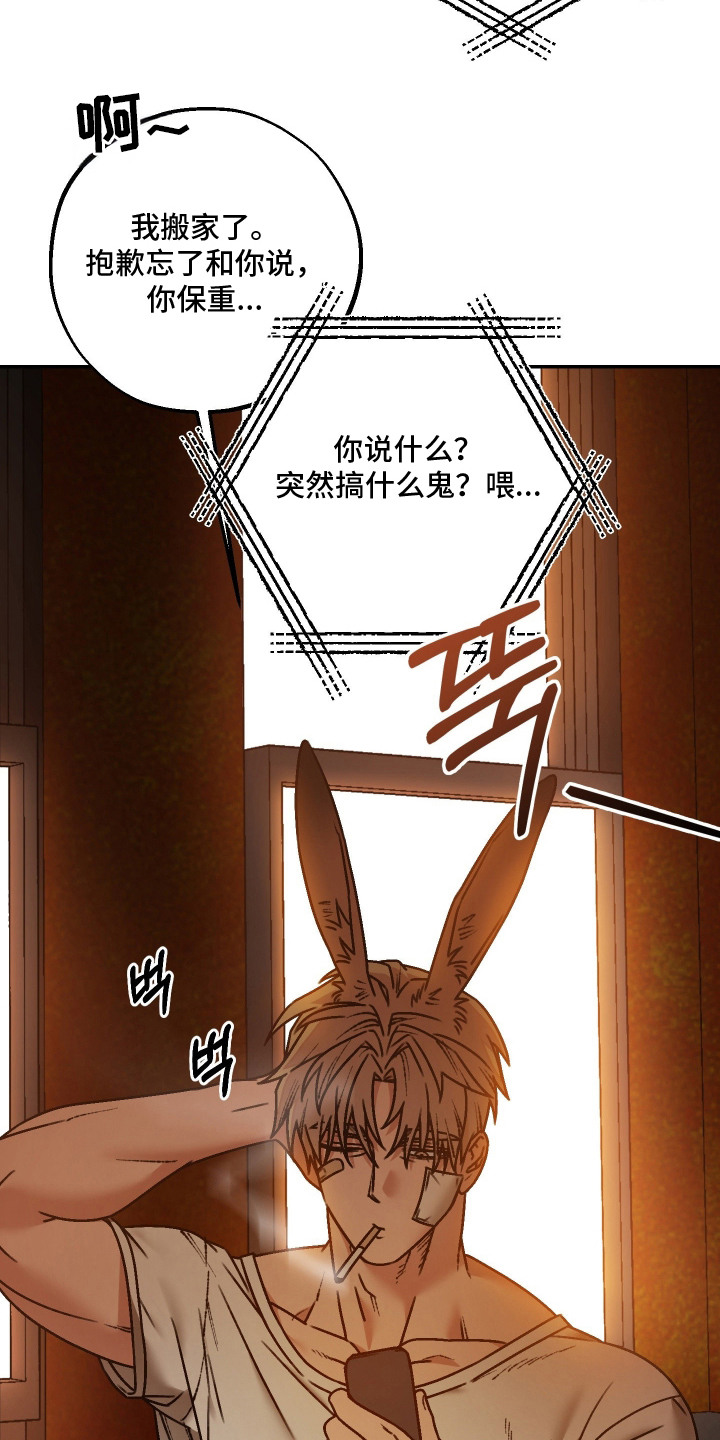 兔入狐窝漫画-图3