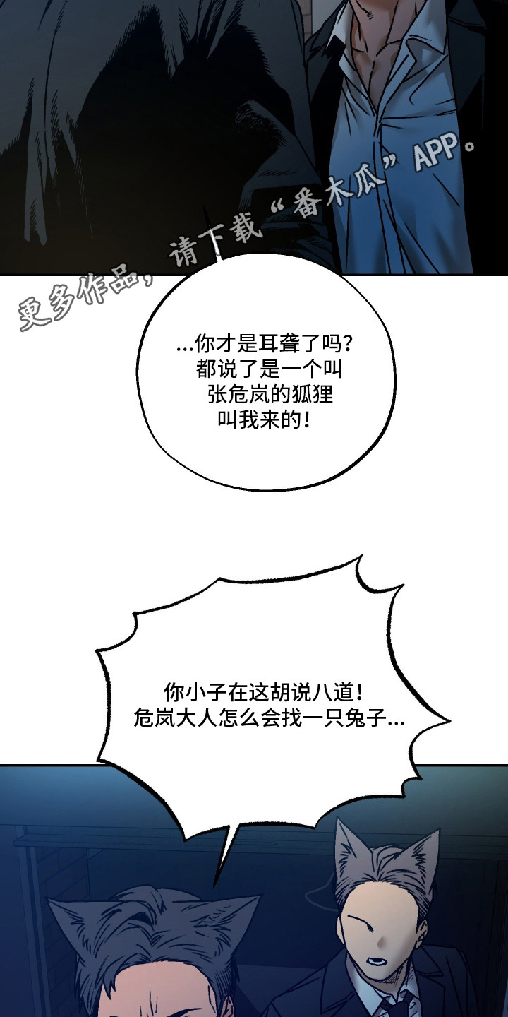 兔入狐窝漫画-图13