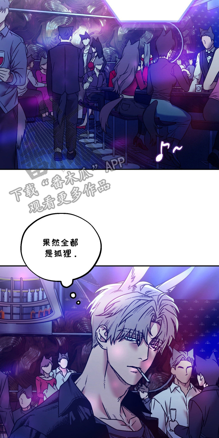 兔入狐窝漫画-图17