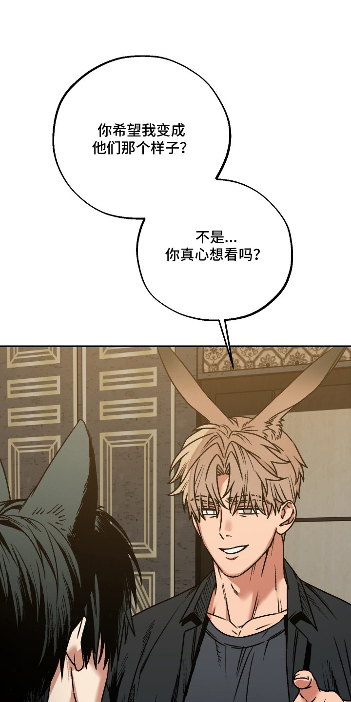 兔入狐窝漫画-图0