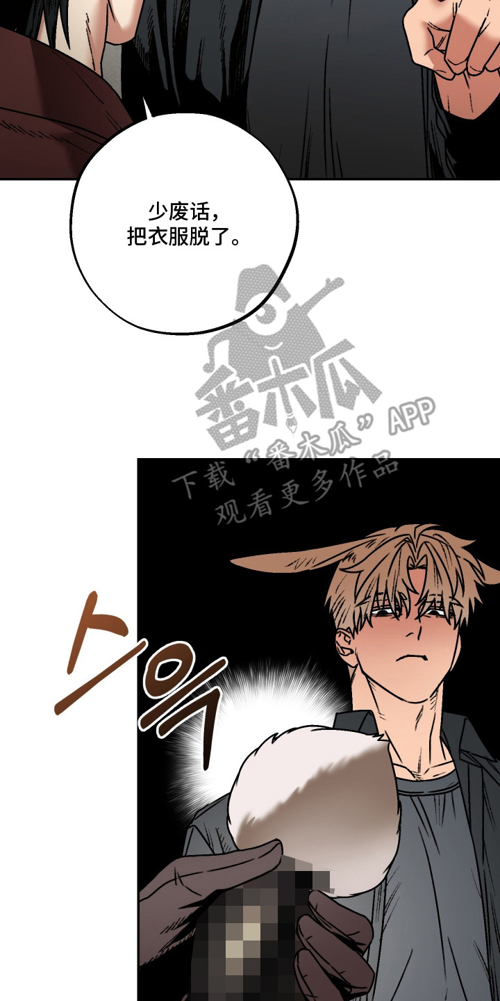 兔入狐窝漫画-图1
