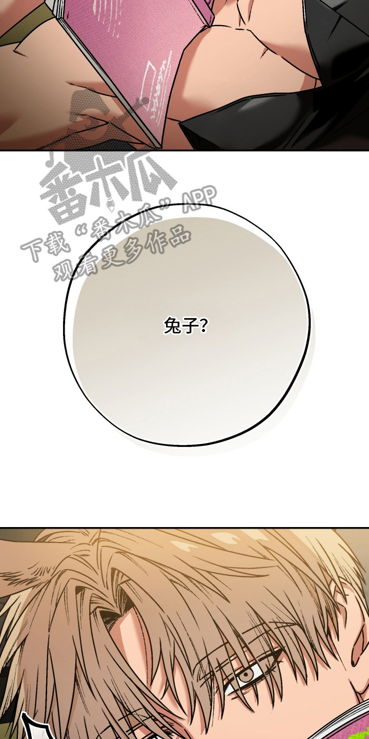 兔入狐窝漫画-图21