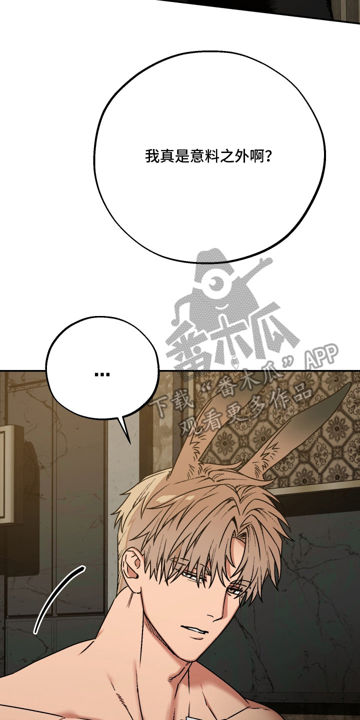 兔入狐窝漫画-图25