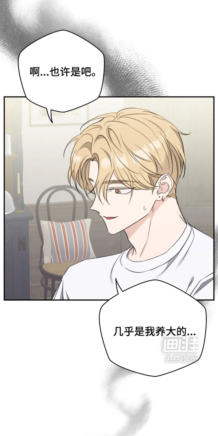 他的聚光灯漫画-图7