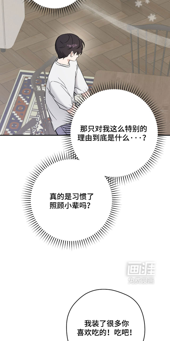 他的聚光灯漫画-图7